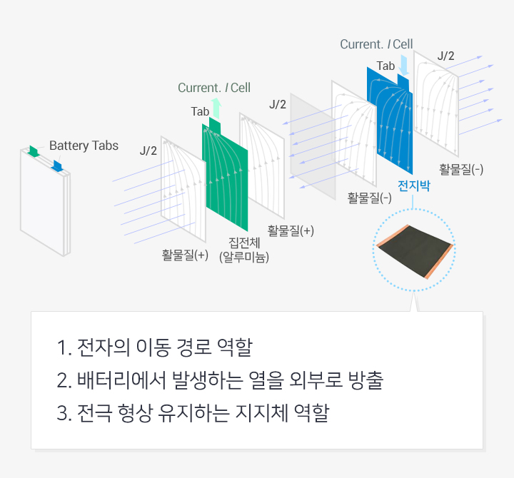 전지박 구조/역할